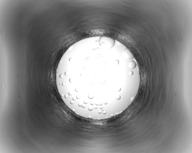 X0000087040418200705021140