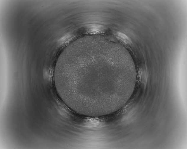 X0000087040423200705021140
