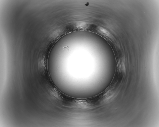 X0000087040424200705021140