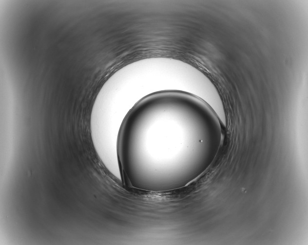X0000087040425200705021140