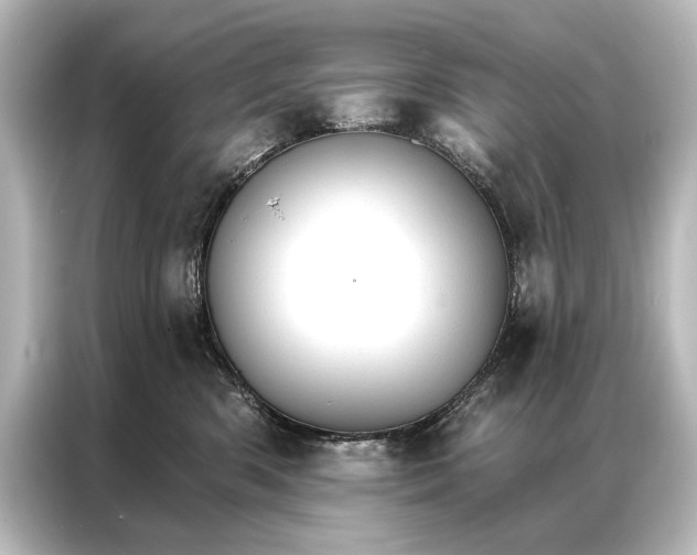 X0000087040426200705021140