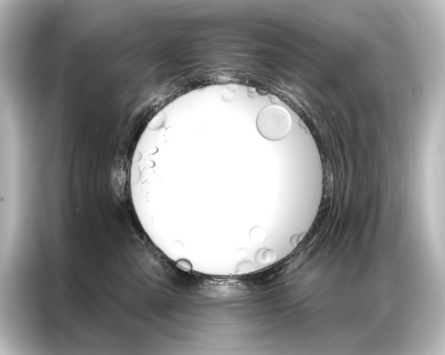 X0000087040427200705021140