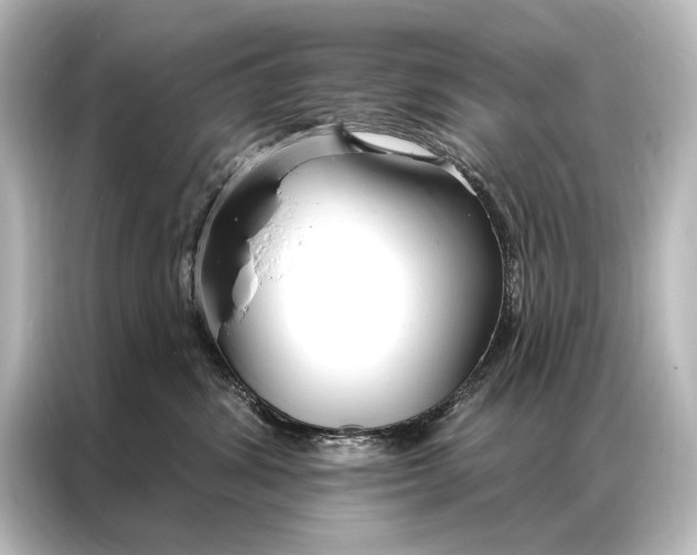 X0000087040428200705021140