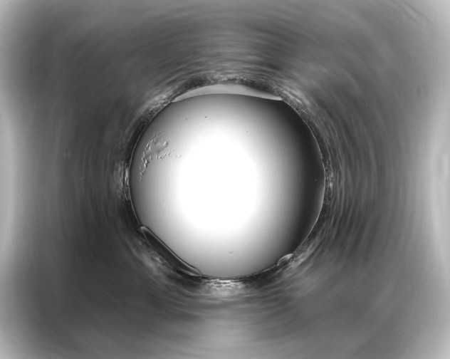 X0000087040429200705021140