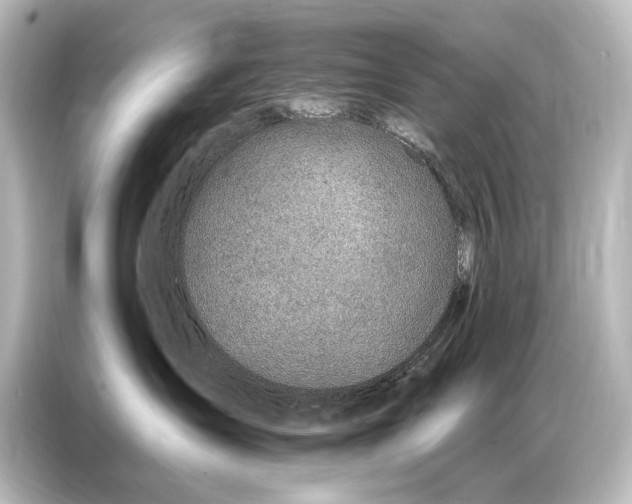 X0000087040431200705021140