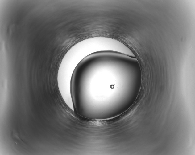 X0000087040432200705021140
