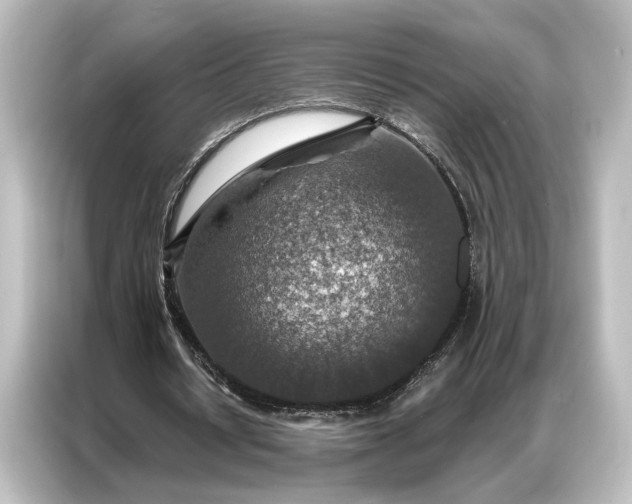 X0000087040434200705021139