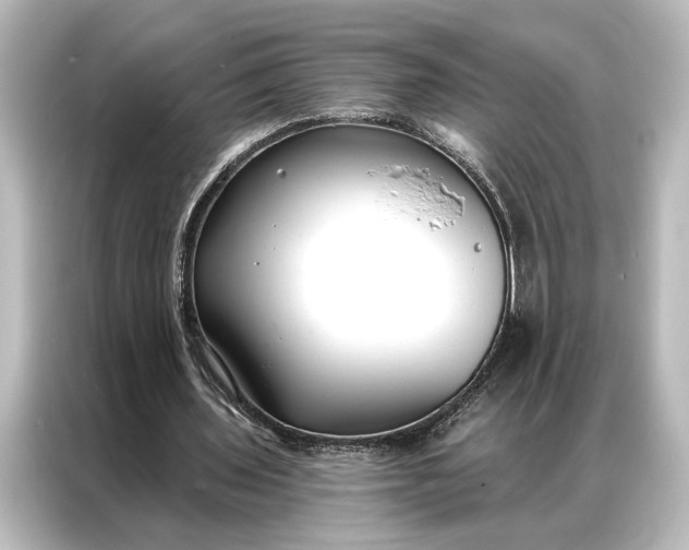 X0000087040435200705021140