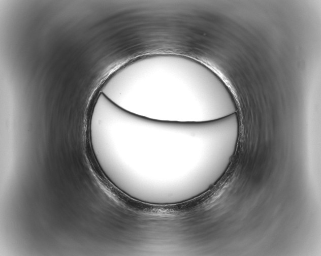 X0000087040437200705021140