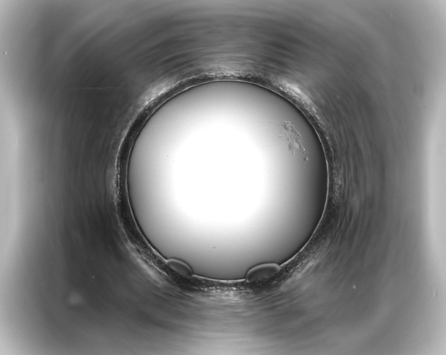 X0000087040439200705021140