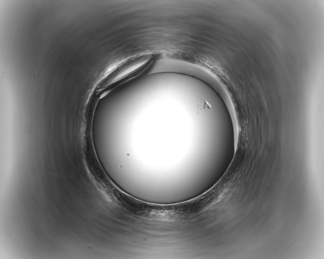 X0000087040440200705021140