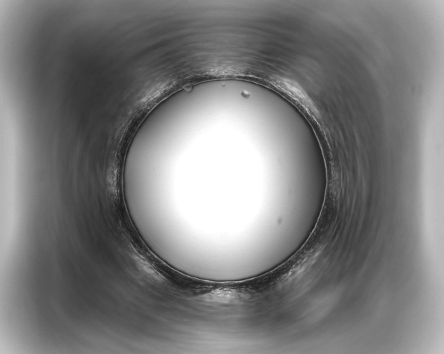 X0000087040441200705021140