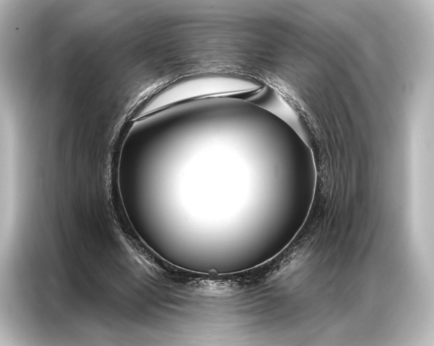 X0000087040442200705021140