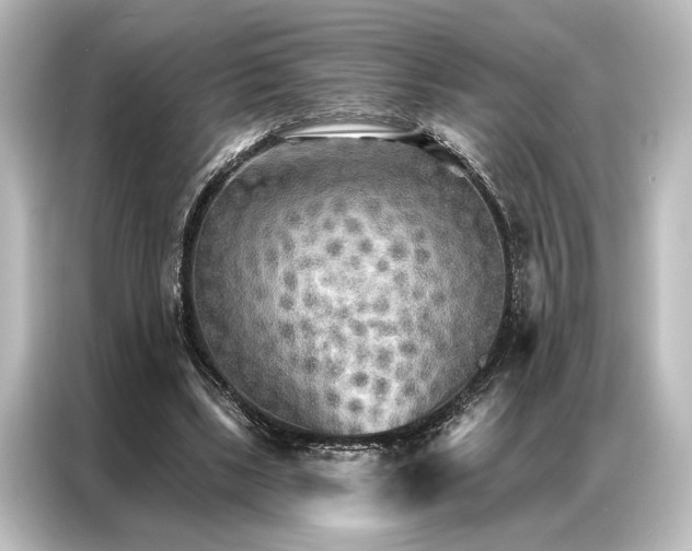 X0000087040443200705021140