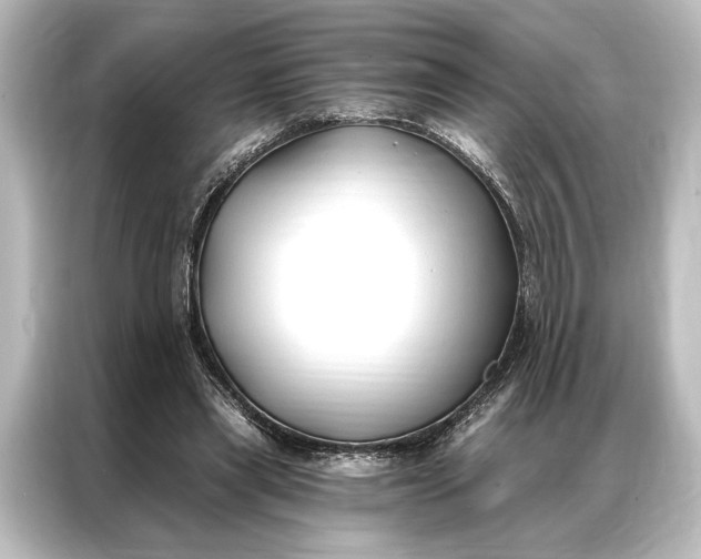 X0000087040445200705021140