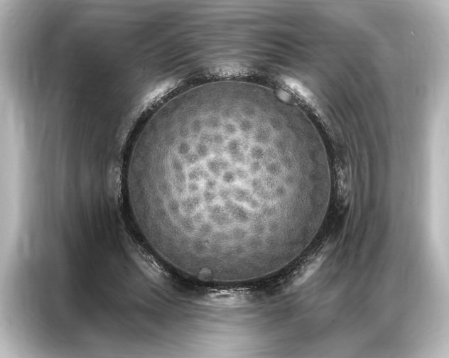 X0000087040447200705021140