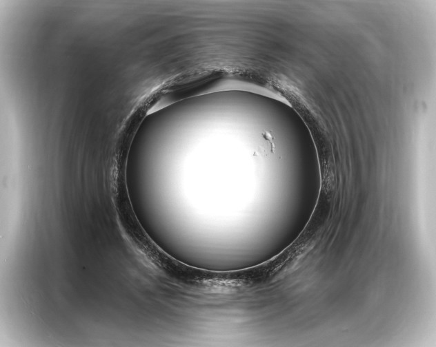 X0000087040448200705021140