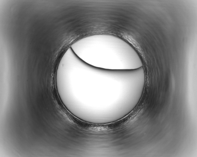 X0000087040449200705021140