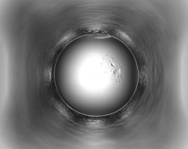 X0000087040454200705021140