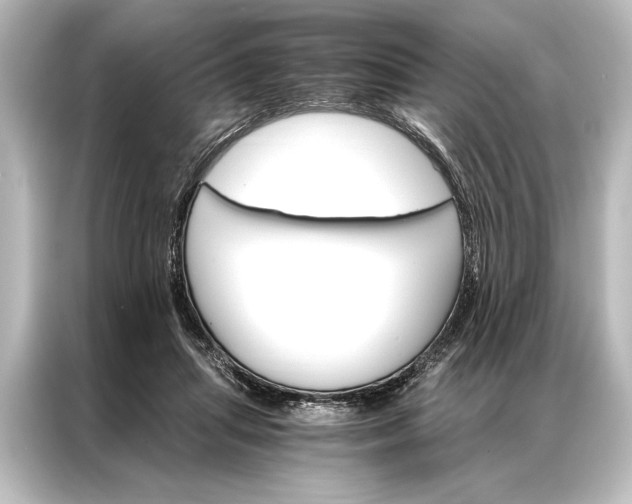 X0000087040455200705021140
