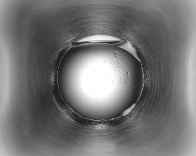 X0000087040456200705021140