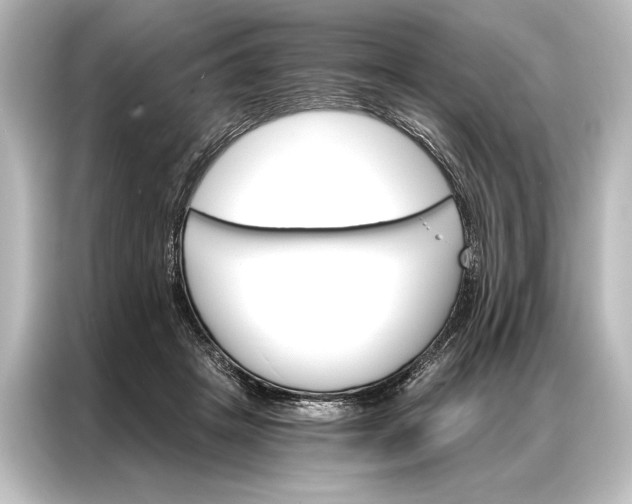 X0000087040457200705021140