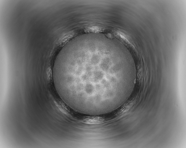 X0000087040459200705021140