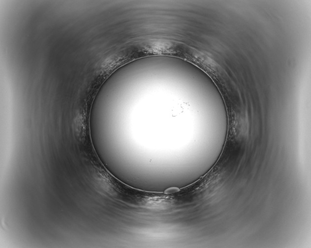 X0000087040461200705021140