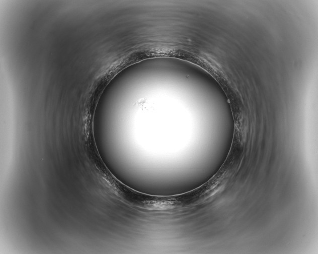 X0000087040462200705021140