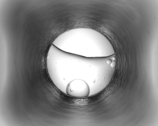 X0000087040465200705021140