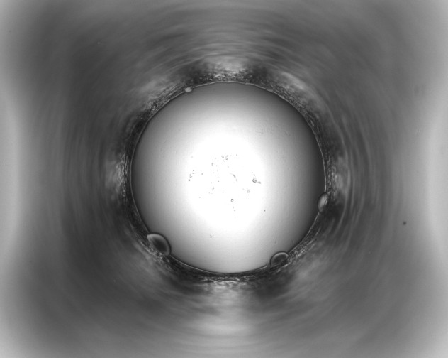 X0000087040468200705021140