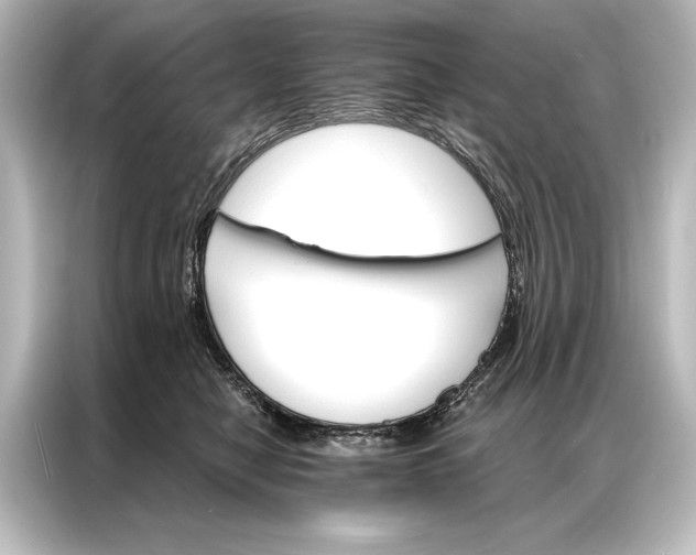 X0000087040470200705021140