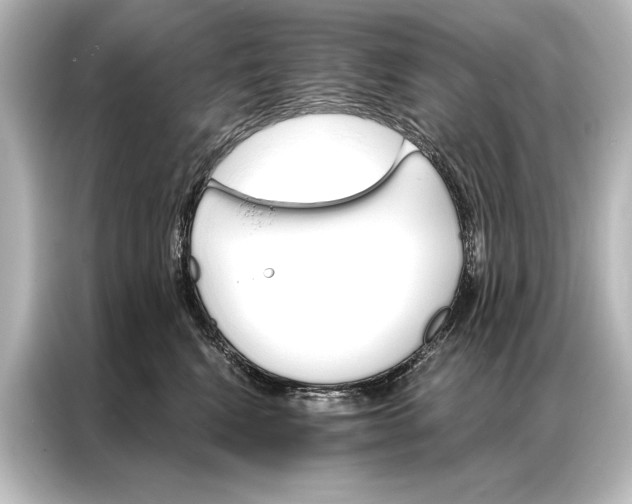 X0000087040472200705021140