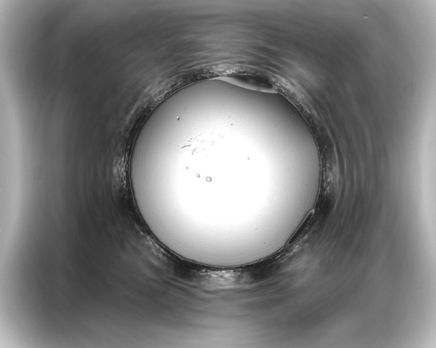 X0000087040473200705021140