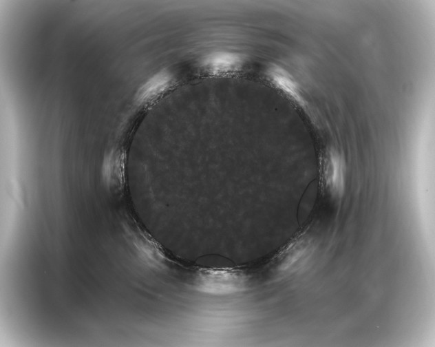 X0000087040475200705021140