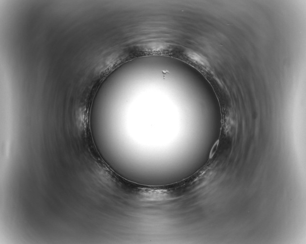 X0000087040476200705021140