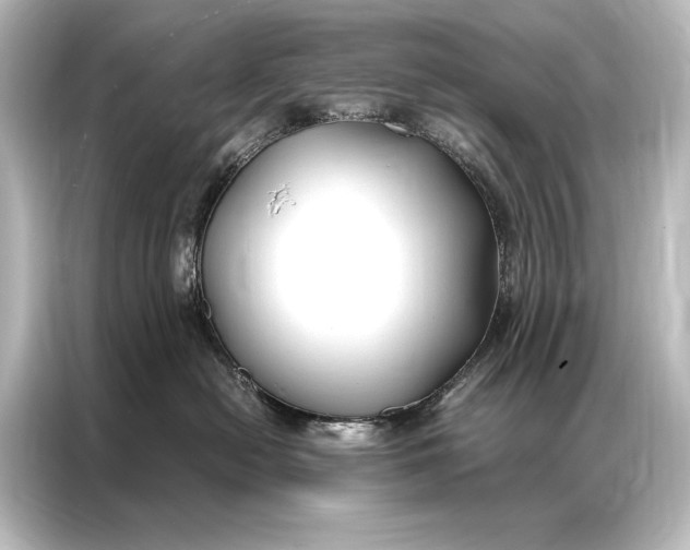 X0000087040478200705021140