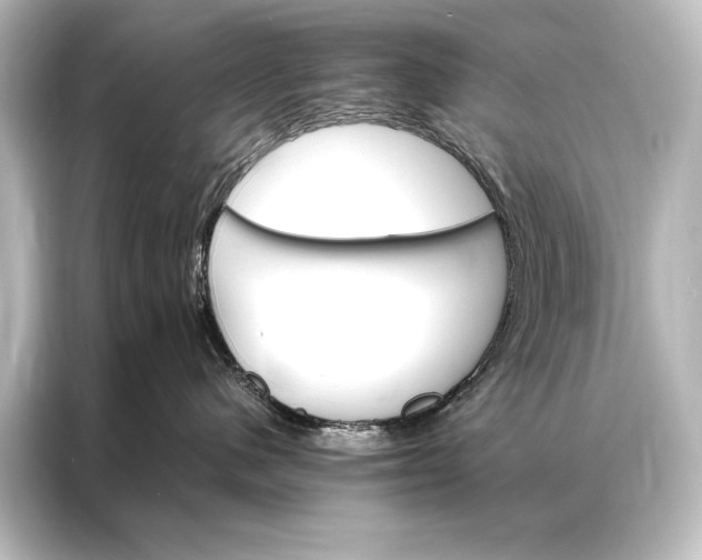 X0000087040480200705021140
