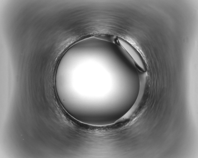 X0000087040481200705021139