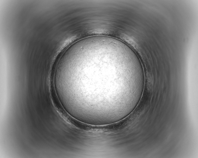 X0000087040482200705021139