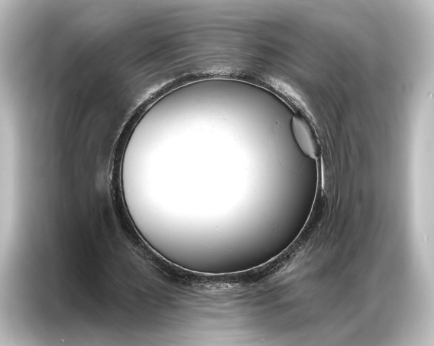 X0000087040483200705021139