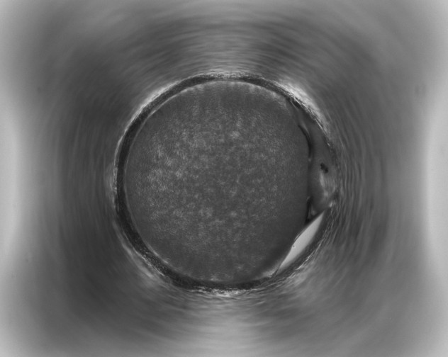 X0000087040484200705021139
