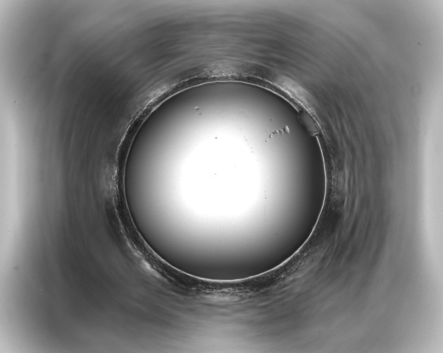 X0000087040485200705021139