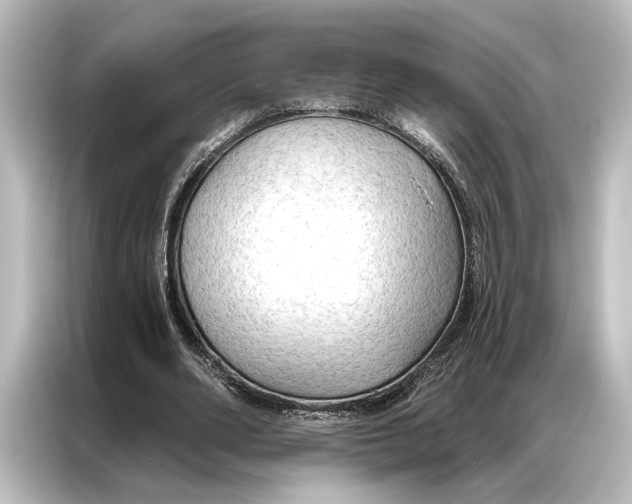 X0000087040486200705021139