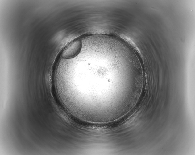 X0000087040487200705021139