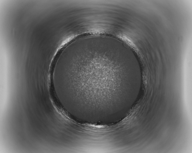 X0000087040488200705021139