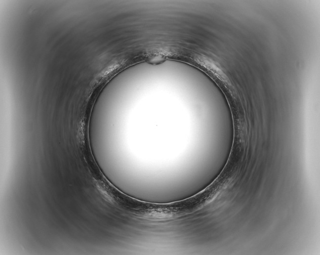 X0000087040489200705021139