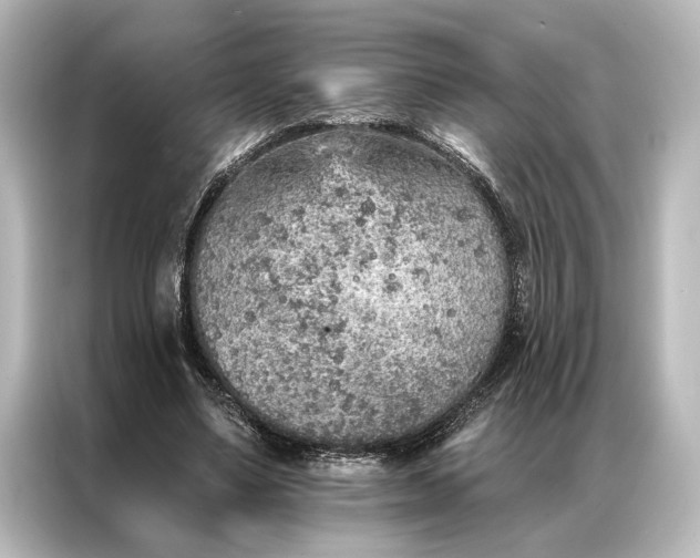 X0000087040491200705021139