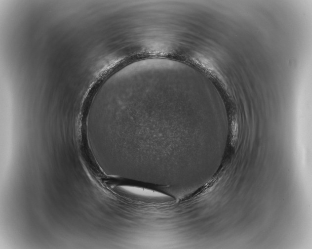 X0000087040492200705021139