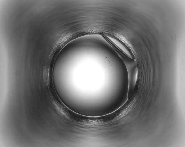 X0000087040493200705021139